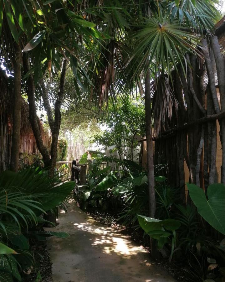 Cozy Room Near The Beach, Party Zone Tulum Extérieur photo